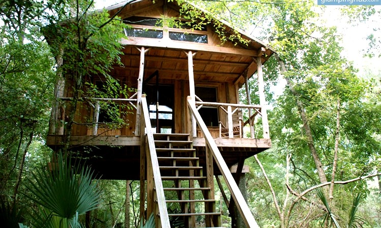 682-0-treehouse