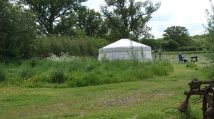 Glamping interview with Holly Farm Holidays