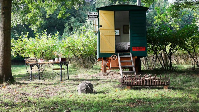 Glamping interview with the Nut Plat Retreat