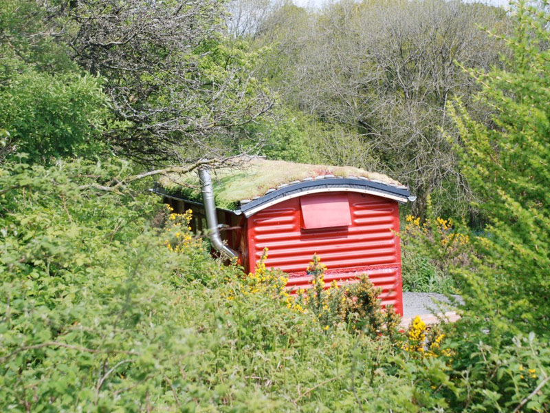 the-yurt-farm8
